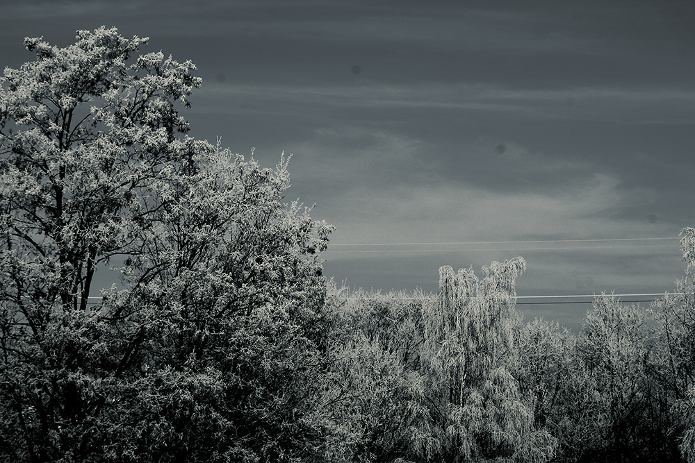 mystree3