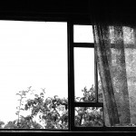 window