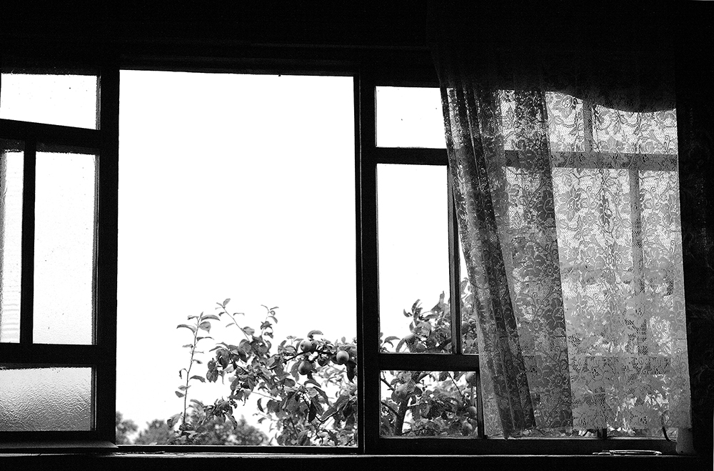 window